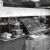 1955 in computing