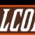 Bowling Green Falcons men's basketball seasons