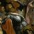 William X, Duke of Aquitaine