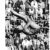 Divers at the 1980 Summer Olympics
