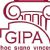 1994 establishments in Georgia (country)