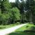 Cemeteries in Munich