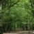 Nature reserves in Haringey