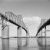 Toll bridges in the United States