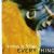 Songs with music by Hachidai Nakamura