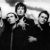 Pulp