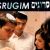 Srugim