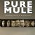 Pure Mule