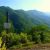 Forests of Armenia