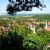 1728 disestablishments in the Holy Roman Empire