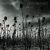 Gothic rock albums by Australian artists