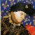 Charles VI of France