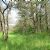 Scatter Creek Unit