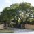 Schools in Brisbane
