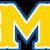 McNeese Cowboys basketball seasons