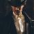 Arsène Lupin