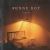 Novels by Shyam Selvadurai