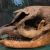 1945 in paleontology