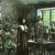 Anne Hutchinson