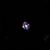 Galaxies discovered in 2013