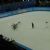 Short-track speed skaters at the 2018 Winter Olympics