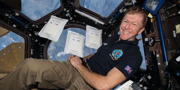 Who is Tim Peake dating? Tim Peake girlfriend, wife