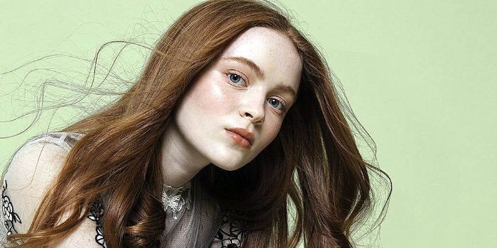 Who is Sadie Sink dating? Sadie Sink boyfriend, husband