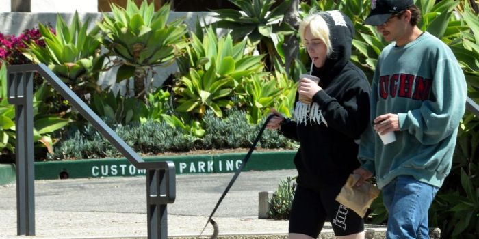 Billie Eilish O'Connell and Matthew Tyler Vorce - Dating ...