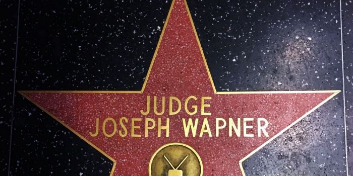 Joseph Albert Wapner