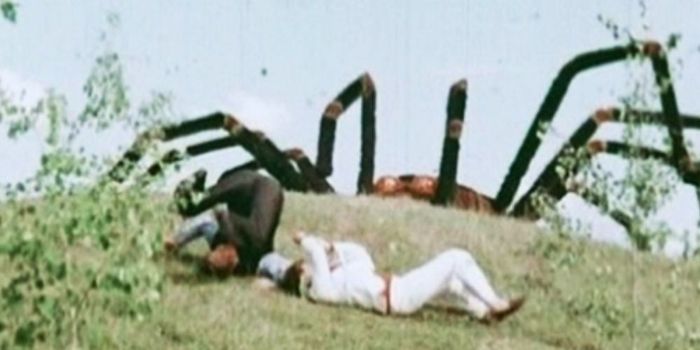 The Giant Spider Invasion